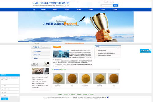 石家莊網(wǎng)絡(luò)建設(shè)與技術(shù)服務(wù) 構(gòu)建數(shù)字時(shí)代的企業(yè)橋梁